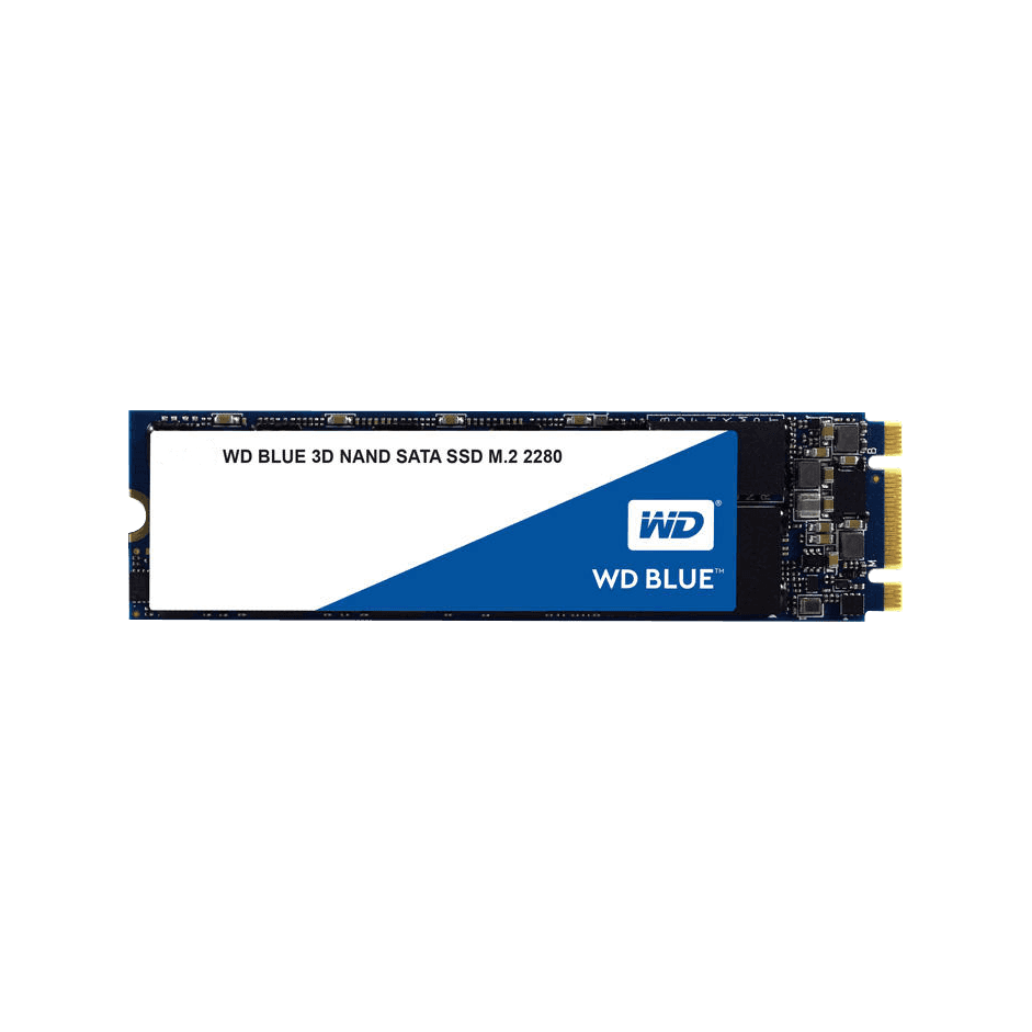 WDS250G2B0B | WesternDigital WD Blue M.2 SATA接続SSD 250GB | CFD