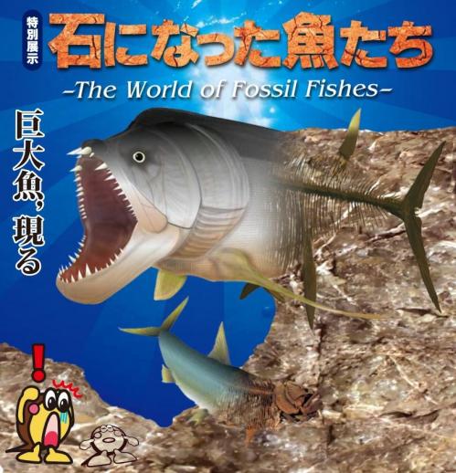 特別展示「石になった魚たち -The World of Fossil Fishes-」展 開催