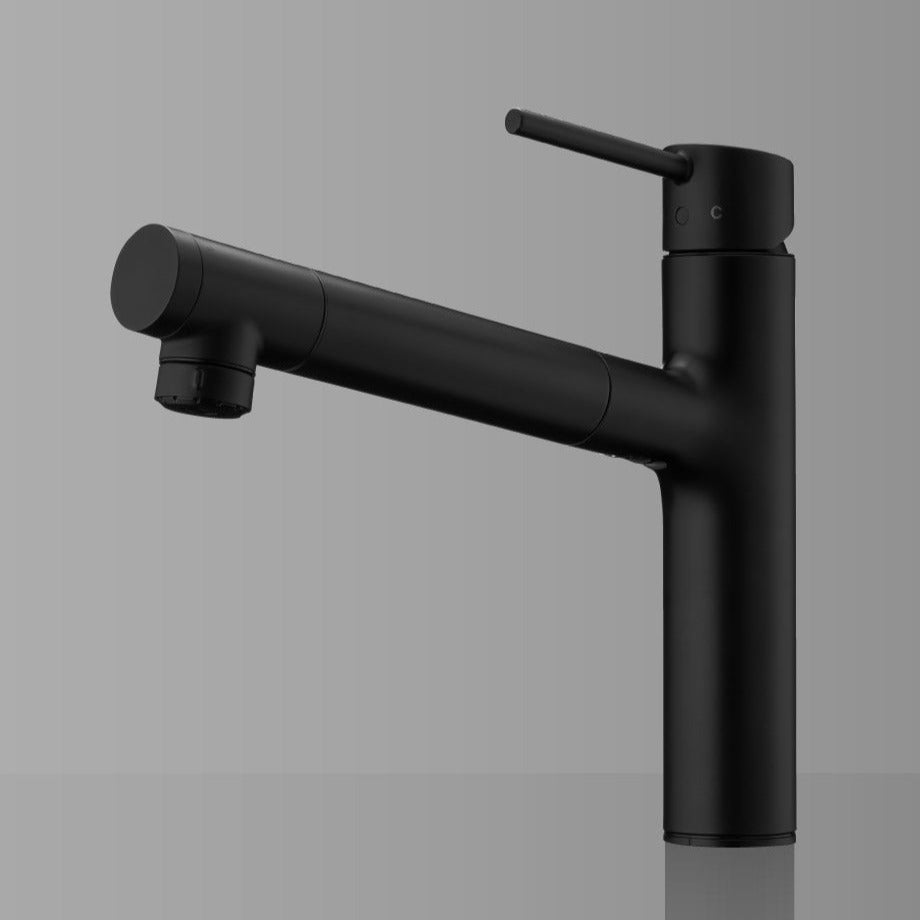 タカギ LS106BN-NNTN 蛇口一体型浄水器 シングルレバー混合栓（ワン