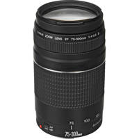 Canon EF 75-300mm f/4-5.6 III Lens 6473A003