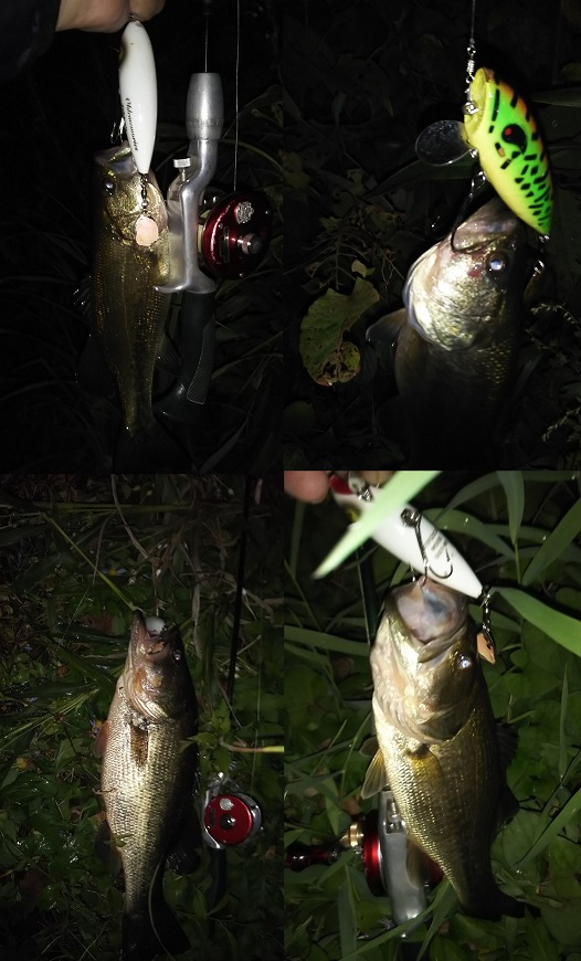 オールドヘドンバルサ50フロッグ スピナースプーン、アムコタックル