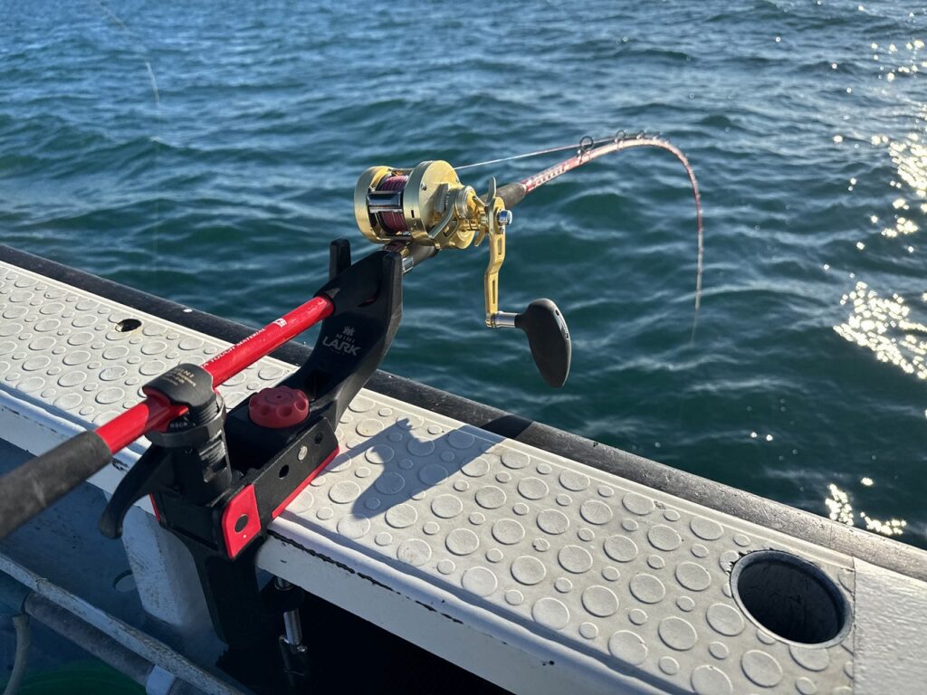 alphatackle BLOG | alphatackle