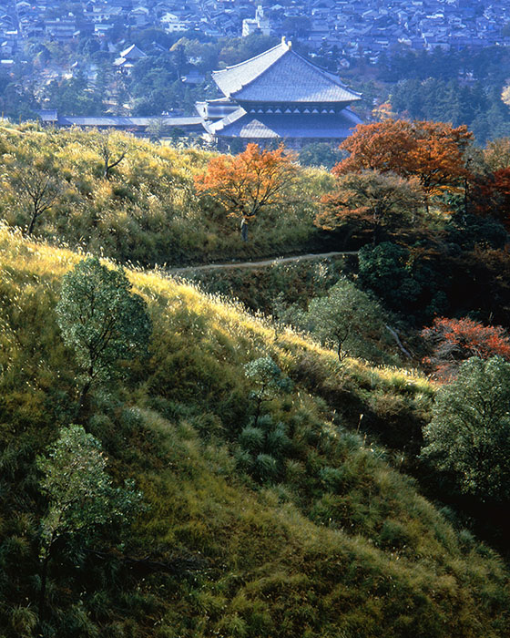 生誕120年 入江泰吉自選「奈良大和路春夏秋冬」 | 入江泰吉記念奈良市