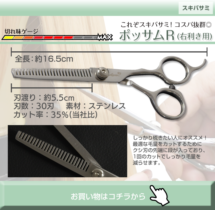 コスプレ雑貨 ハサミ レイチェルR(右利き用) ― コスプレウィッグ総合