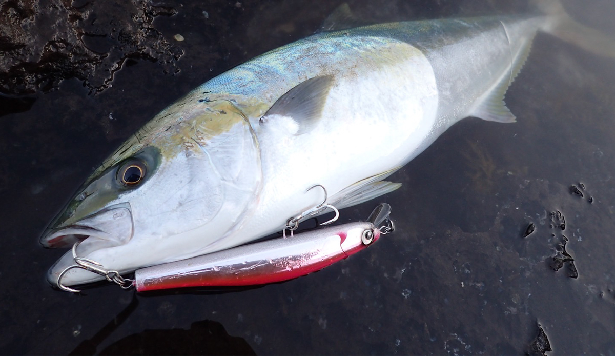 ごんた | Atoll アトール