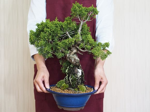 2369_7_e3786d37-ea38-4041-ac76