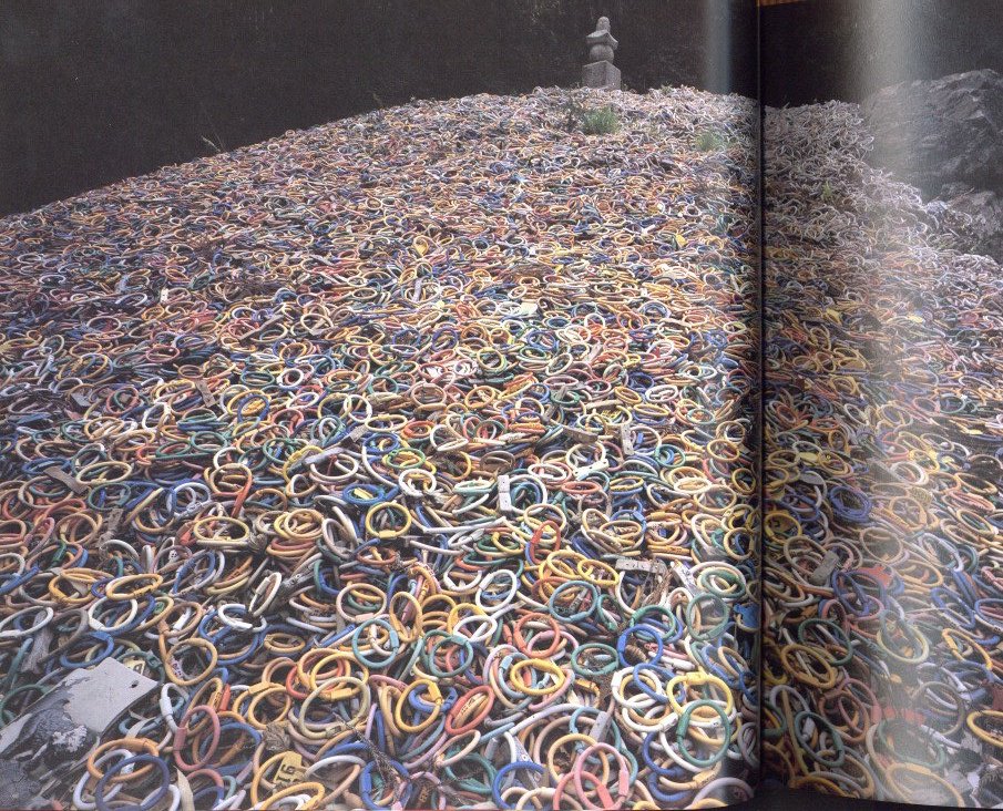 ROADSIDE JAPAN 珍日本紀行 / 都築響一 | 小宮山書店 KOMIYAMA TOKYO