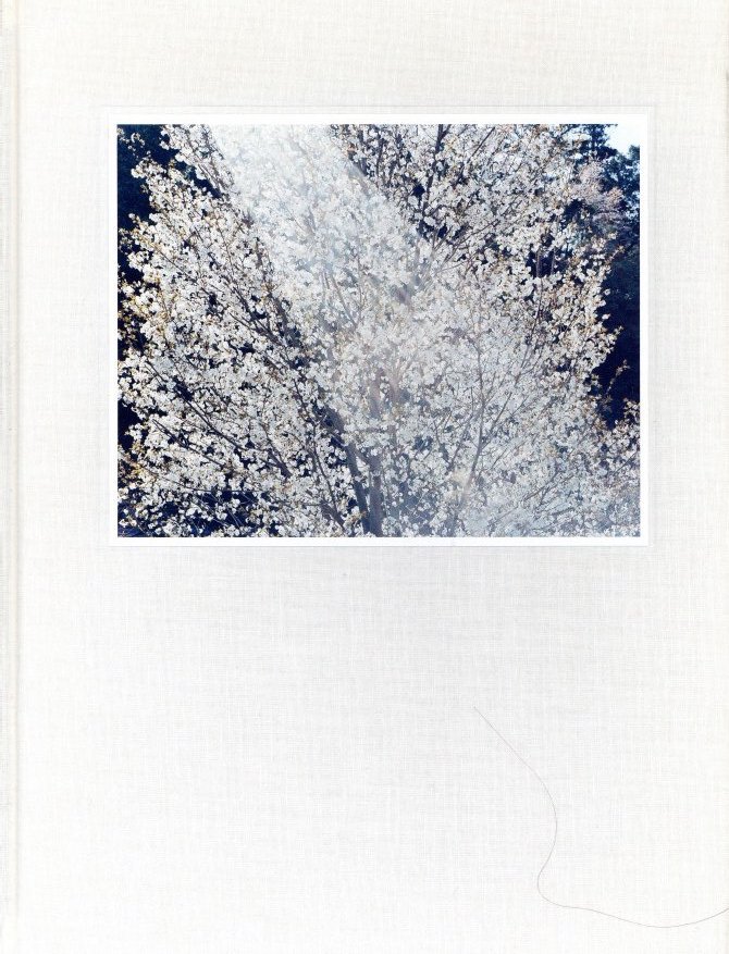 鈴木理策写真展 意識の流れ / 鈴木理策 | 小宮山書店 KOMIYAMA TOKYO