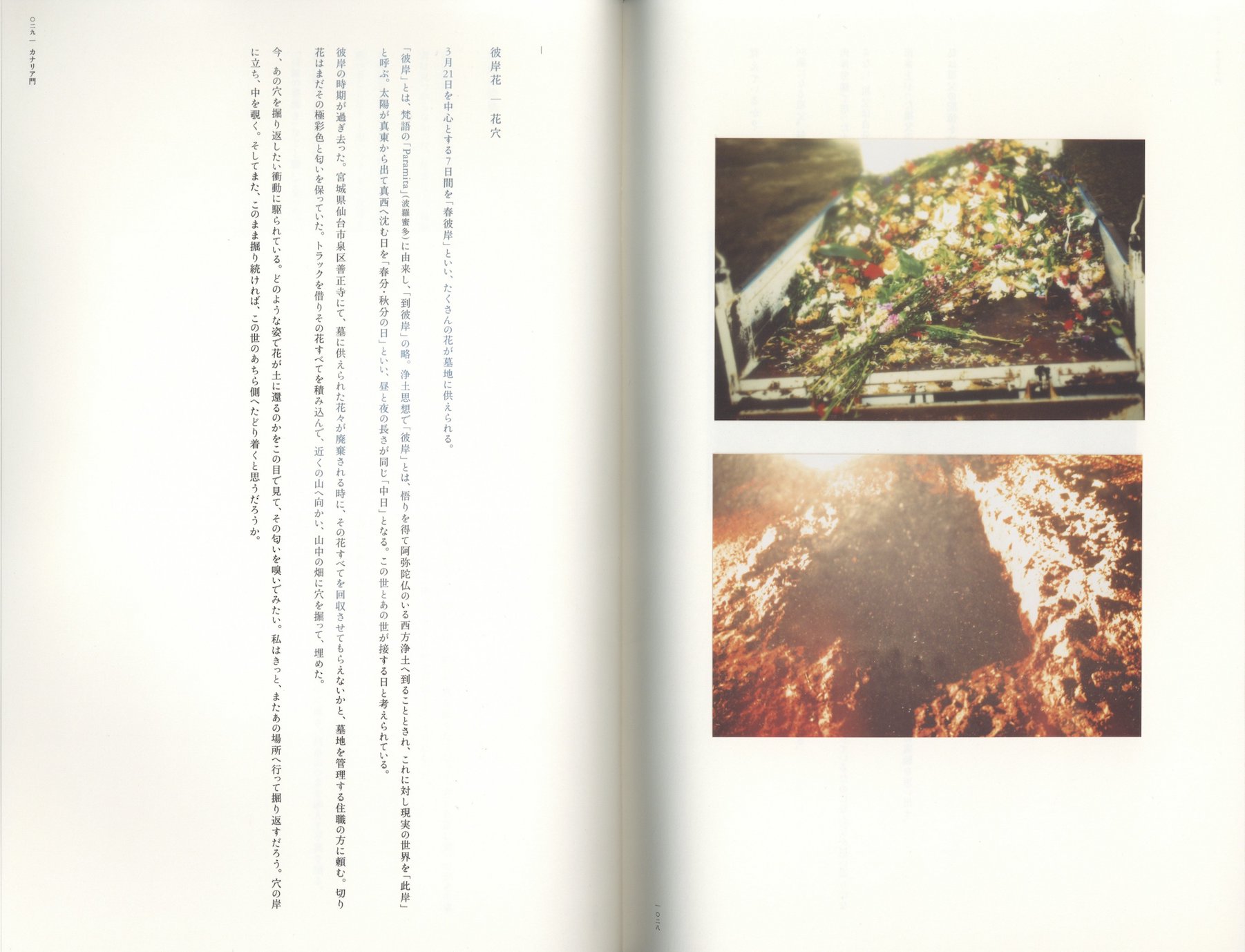 カナリア門 / 志賀理江子 | 小宮山書店 KOMIYAMA TOKYO | 神保町 古書