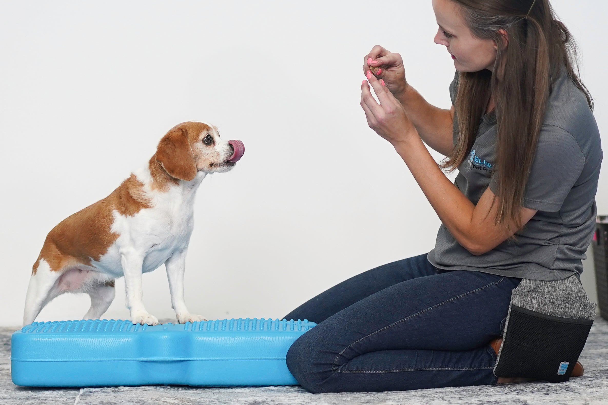 Propel Air Platform | Inflatable Dog Fitness & Balance Training