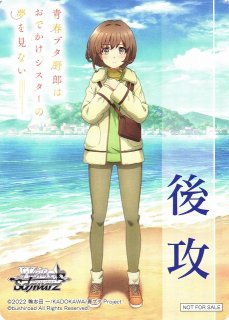 WS】これから続く夢のカタチ 牧之原 翔子(サイン)【SP】SBY/W114-079SP