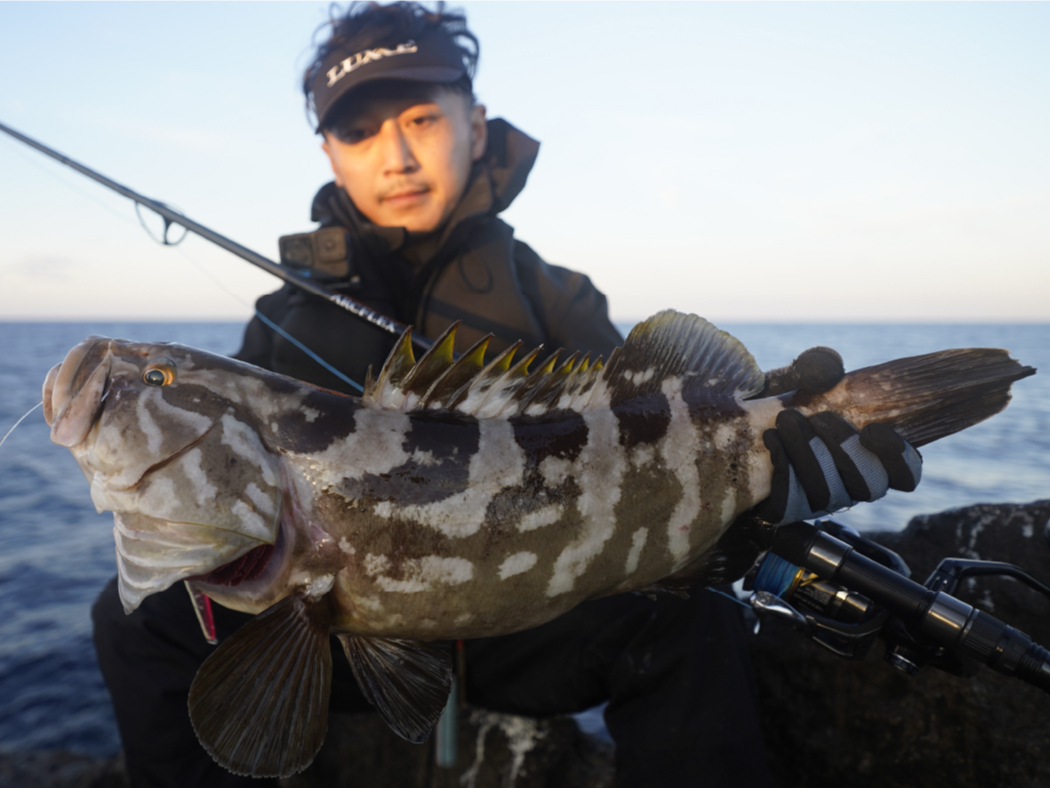 ラグゼ アークフレックス RS | がまかつ