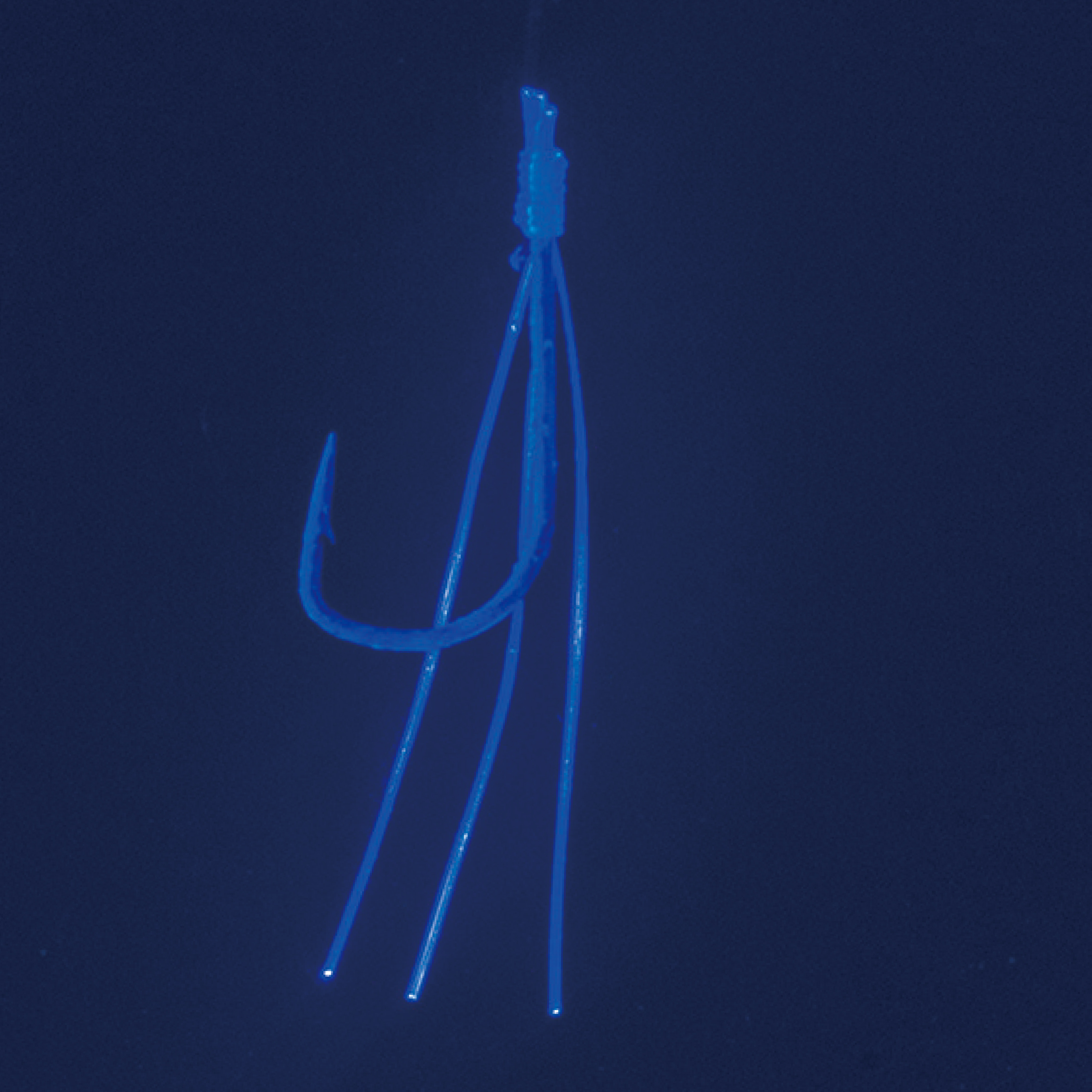 ワカサギ連鎖 ファイバーケイムラ金鈎 5本仕掛 | がまかつ