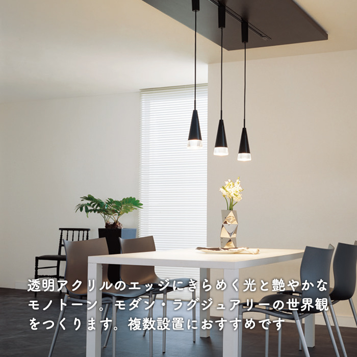 ペンダントライト ピアノブラック・60W相当 | ダクトレール用｜照明の