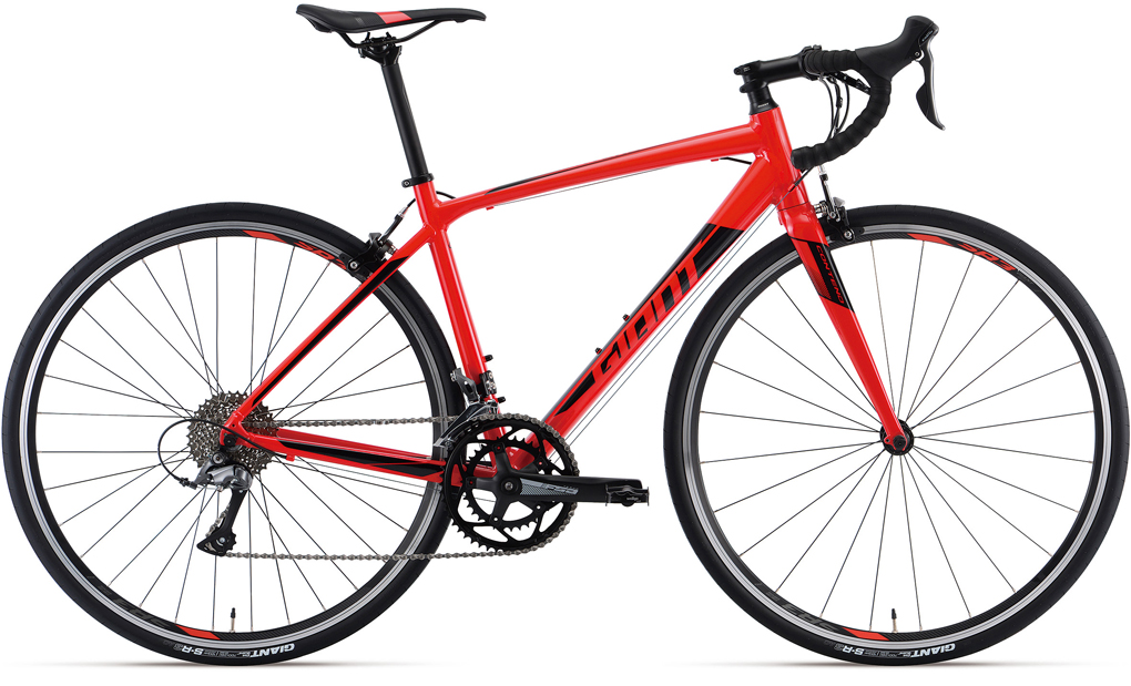 2019 GIANT Bicycles | CONTEND 2