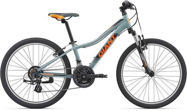 2019 GIANT Bicycles | XTC JR 20 LITE