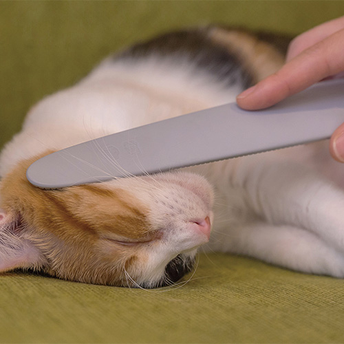 ねこじゃすり CZGDNJS1-GR | ソノタゲンセン | GREEN DOG & CAT