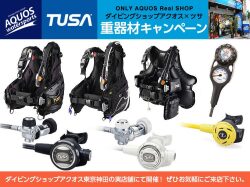 ダイビング・シュノーケリング、ラッシュガード、マリン用品買うなら