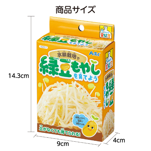 水耕栽培で緑豆もやしを育てよう 102917 アーテック 実験キット