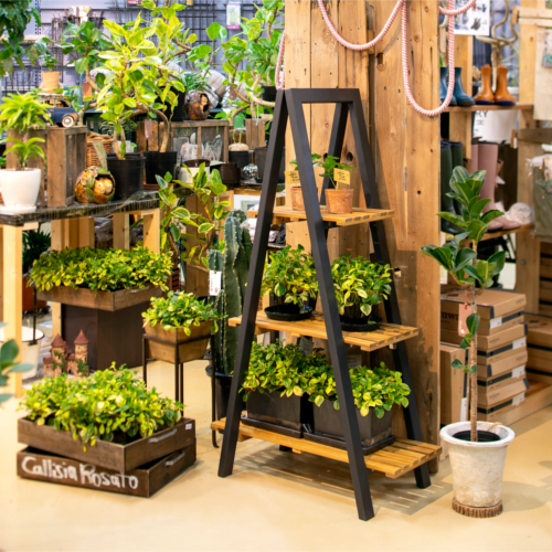 ツリーシェルフ MWF-38FS タカショー フラワースタンド