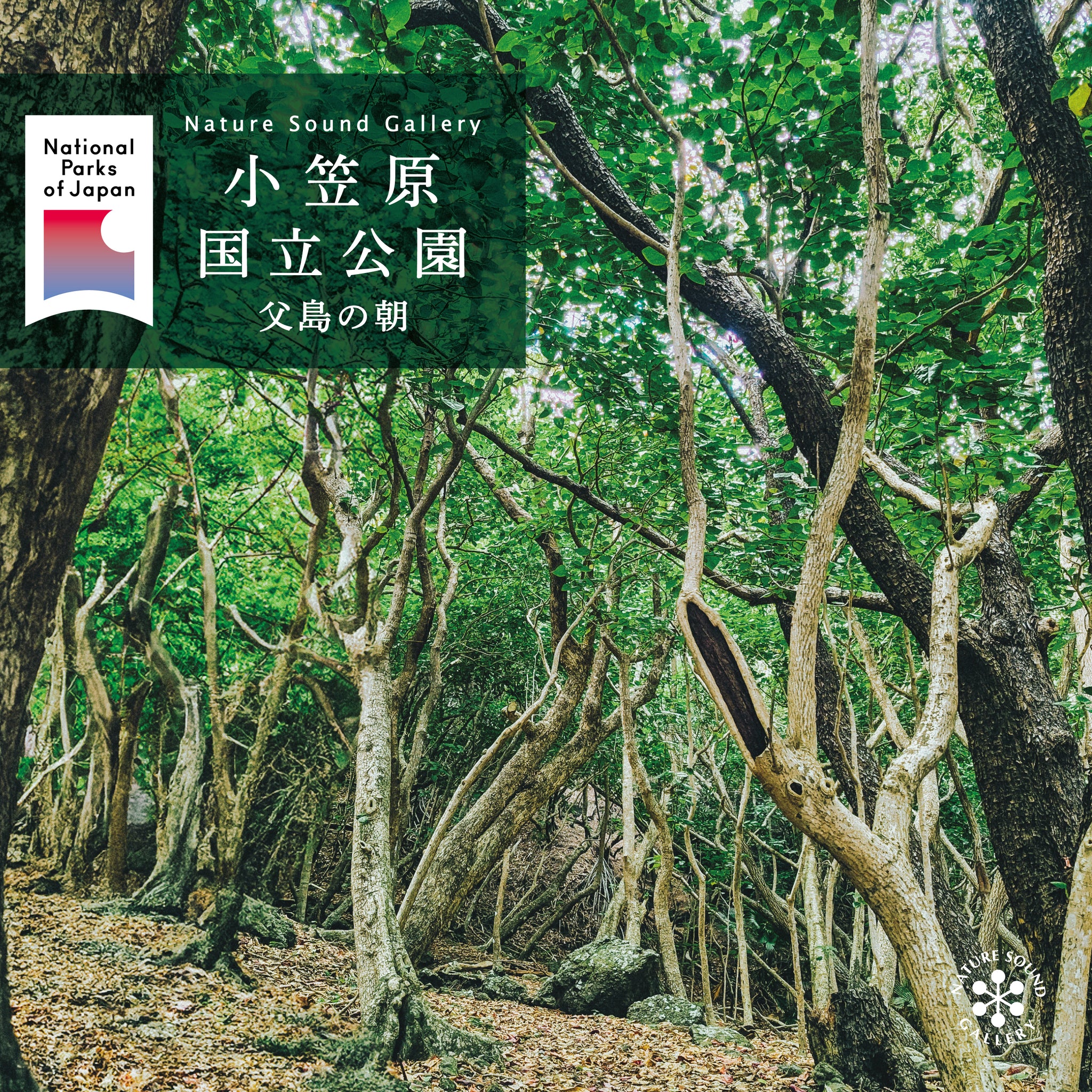 ネイチャー・サウンド・ギャラリー – 癒しの音楽ヒーリングプラザ