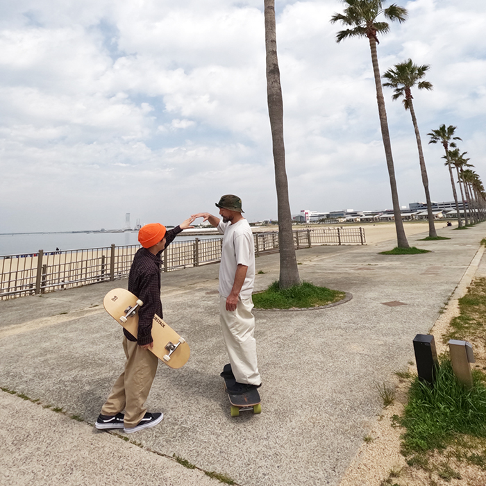 クルーザースケートボード DSB-C01