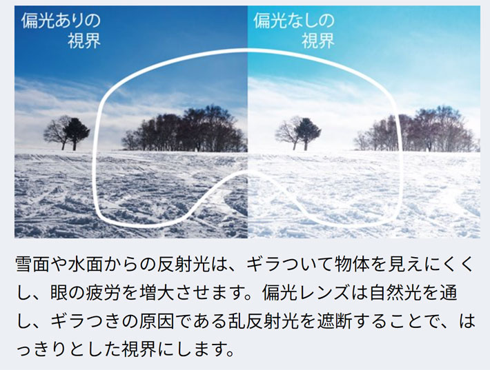 DICE スペアレンズ ダイス HIGHROLLER ハイローラー ゴーグル 偏光