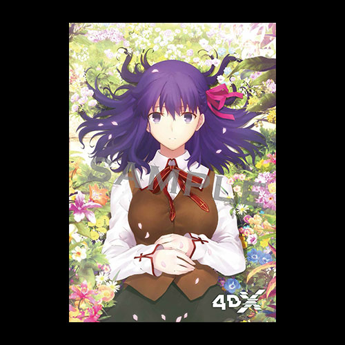 NOVELTY | 劇場版「Fate/stay night[Heaven's Feel]」| Bluray&DVD Now