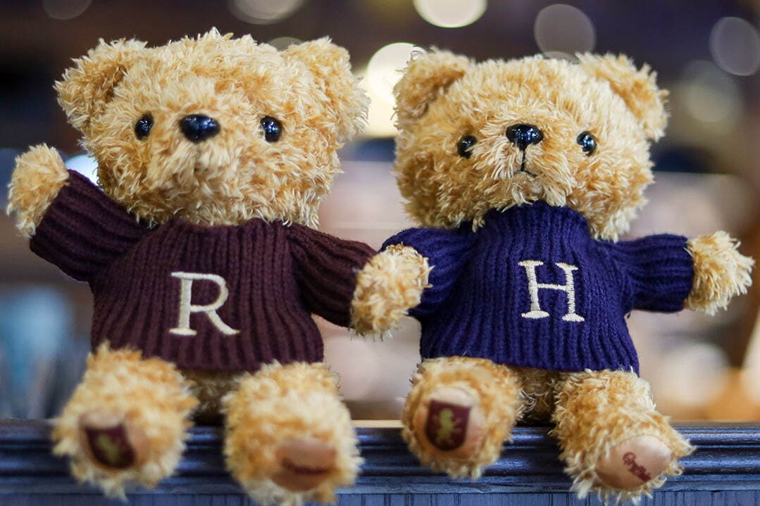 ハリー・ポッター マホウドコロの新作オリジナルベア、衣装はハリー