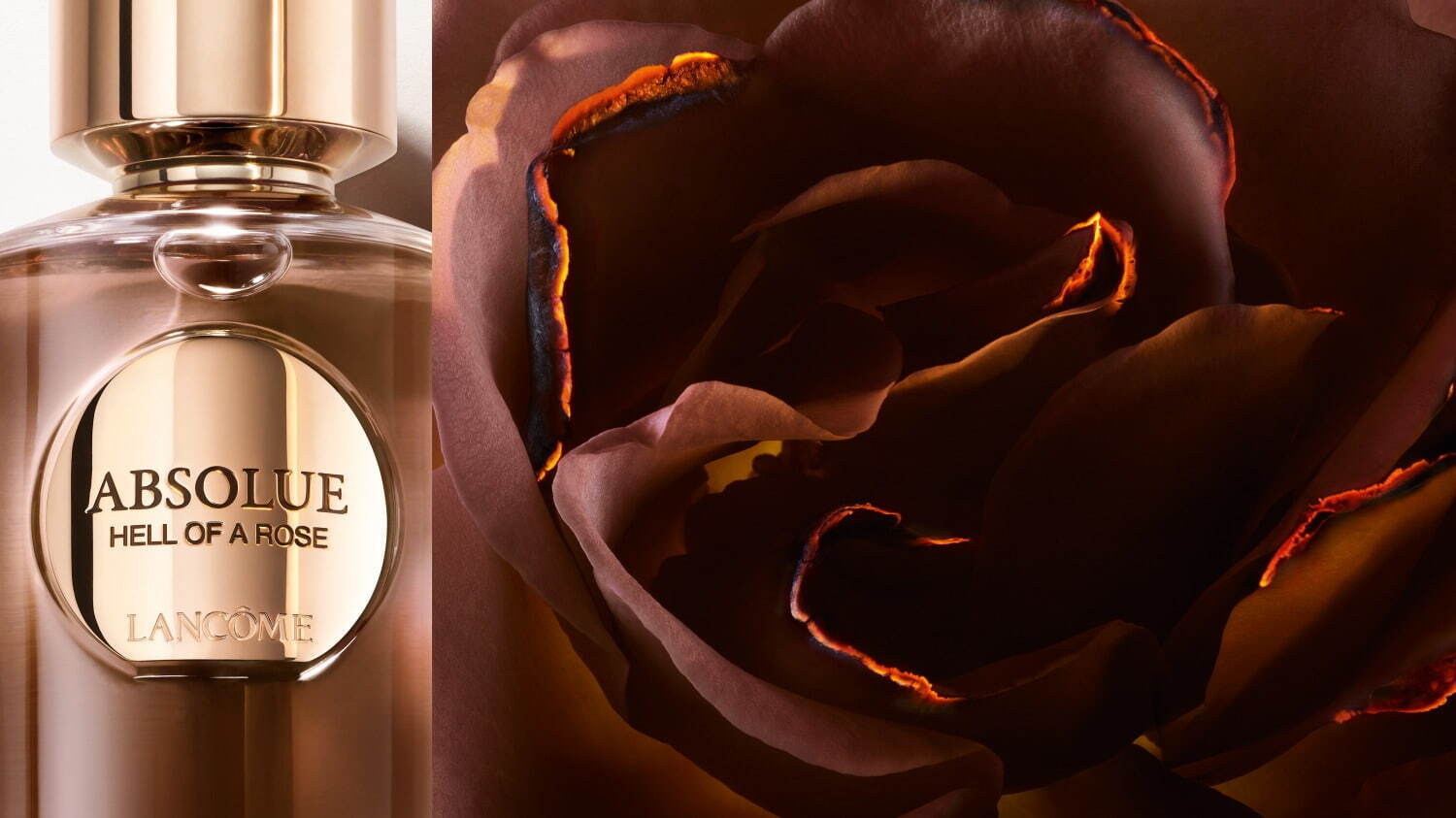 ランコム最高峰フレグランス「アプソリュ レ パルファン」24年冬誕生