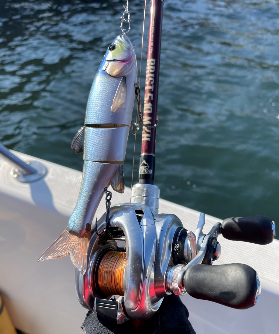 ソルトデイズ -fimo-】 ダウズスイマー180はジョイクロ178と真っ向勝負