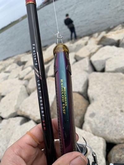 22時頃からの釣行記】 風神Zやばいぞ。