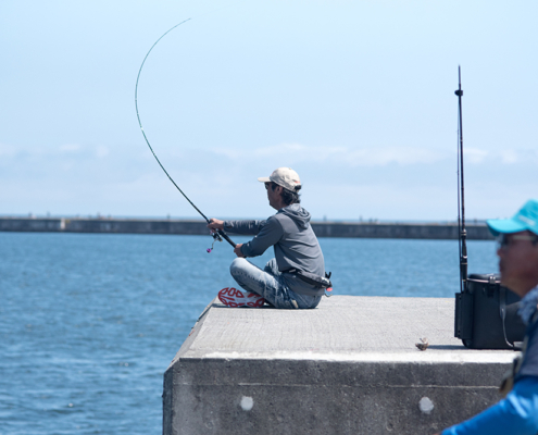 Glissando konbe シリーズ – Fish.IN | Outdoor / Fishing / Something