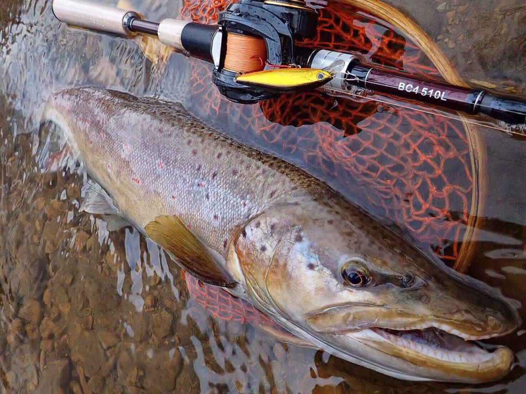 BC4 5.10Lプロトのテストをしてきました！ - Fishman（フィッシュマン）