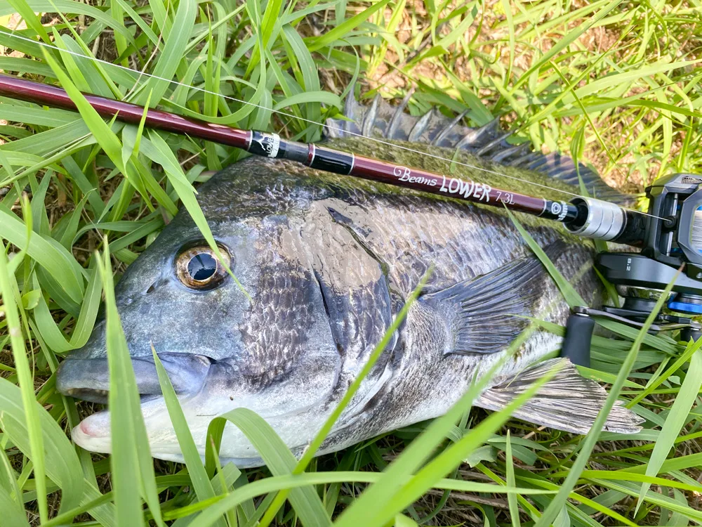 Beams LOWER7.3L アーカイブ - Fishman（フィッシュマン）