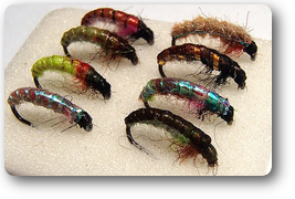 Czech Champions Nymphs 8set - フライフィッシング通販・ショップ