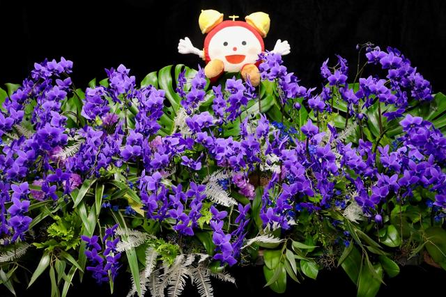 10月4日放送 世界で初めて(※)天然の青色を叶えた胡蝶蘭 「Blue Gene