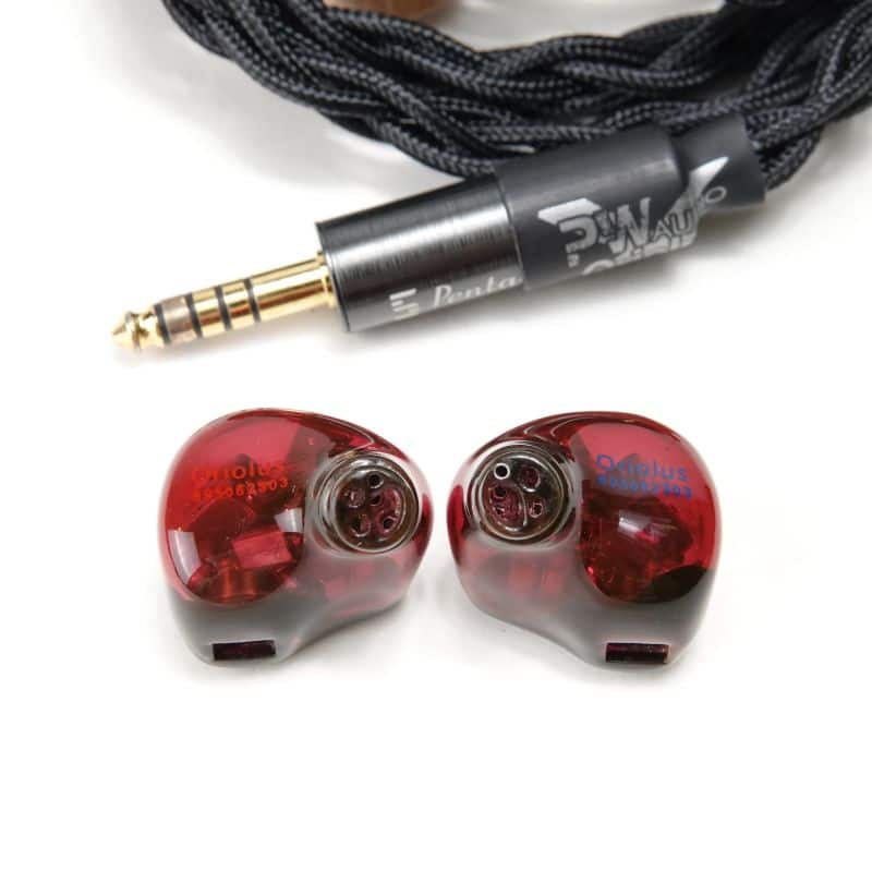 Oriolus Traillii JP AB+ランク 中古｜フジヤエービック