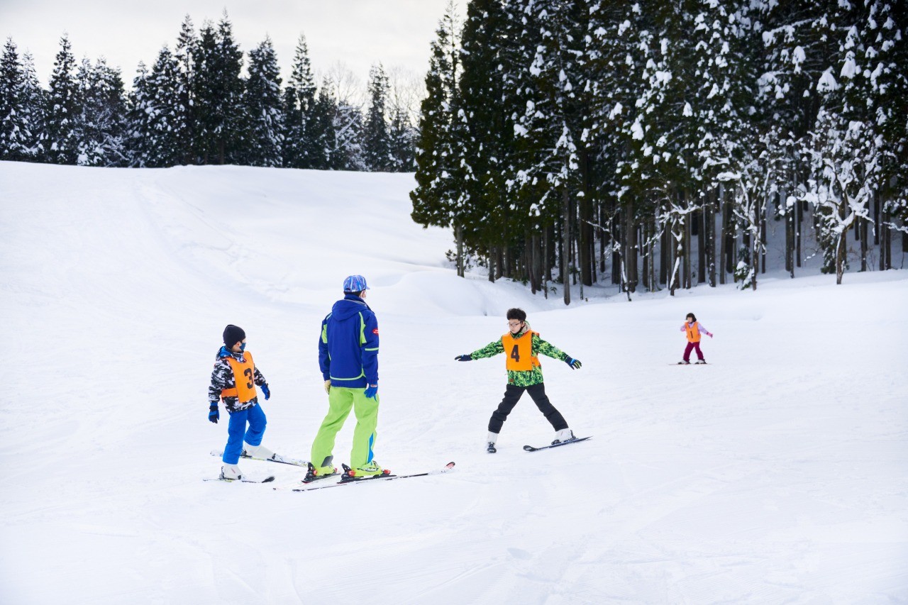 新保ファミリースキー場｜おすすめの観光スポット｜【公式】福井県