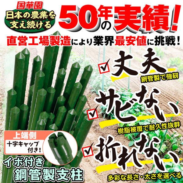 国華園オンラインショップ / 支柱 直径20mm 長さ90～240cm イボ付鋼管