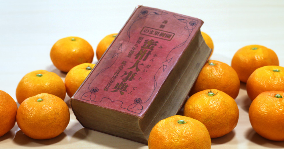 河内晩柑（ジューシーオレンジ） | みかん大事典 | みかんのことなら