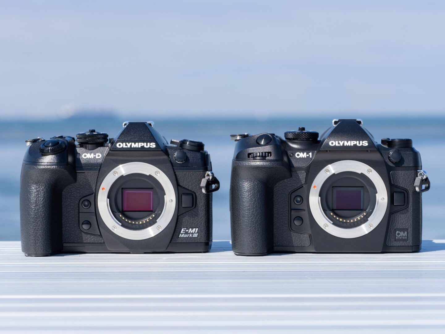 選ばない理由を探すことがとても難しい 最適解のミラーレス一眼｜OM