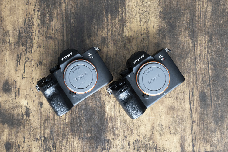 今コストパフォーマンスが高いカメラ｜ソニー α7R IIIとα7 III | ShaSha