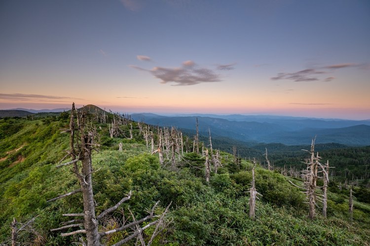 タムロン 11-20mm F/2.8 Di III-A RXD レビュー｜お手軽価格だけど超