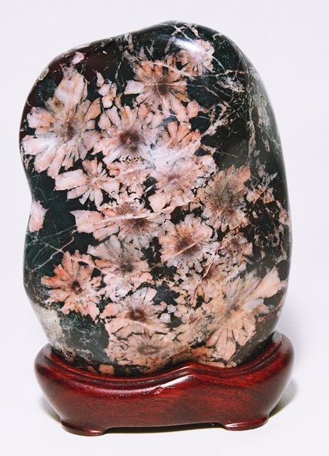 愛好者コレクション 石井コレクション