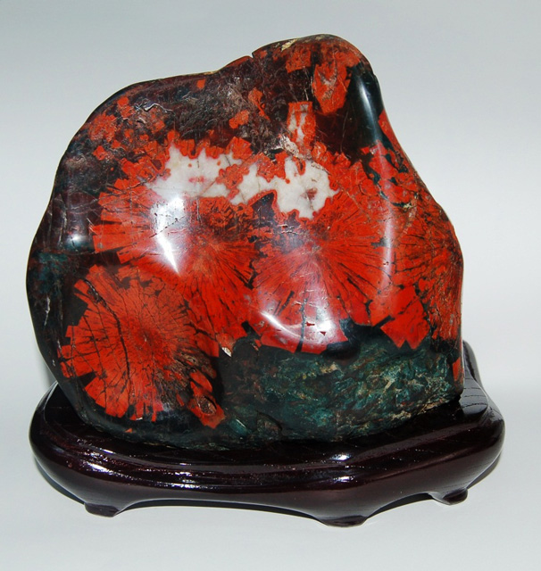 愛好者コレクション 岩中コレクション