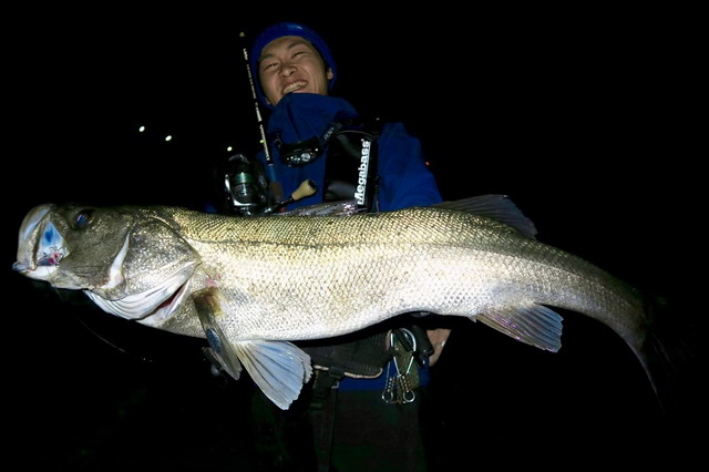 ツララ ハーモニクス スタッカート810MSS-HXストローセッティング