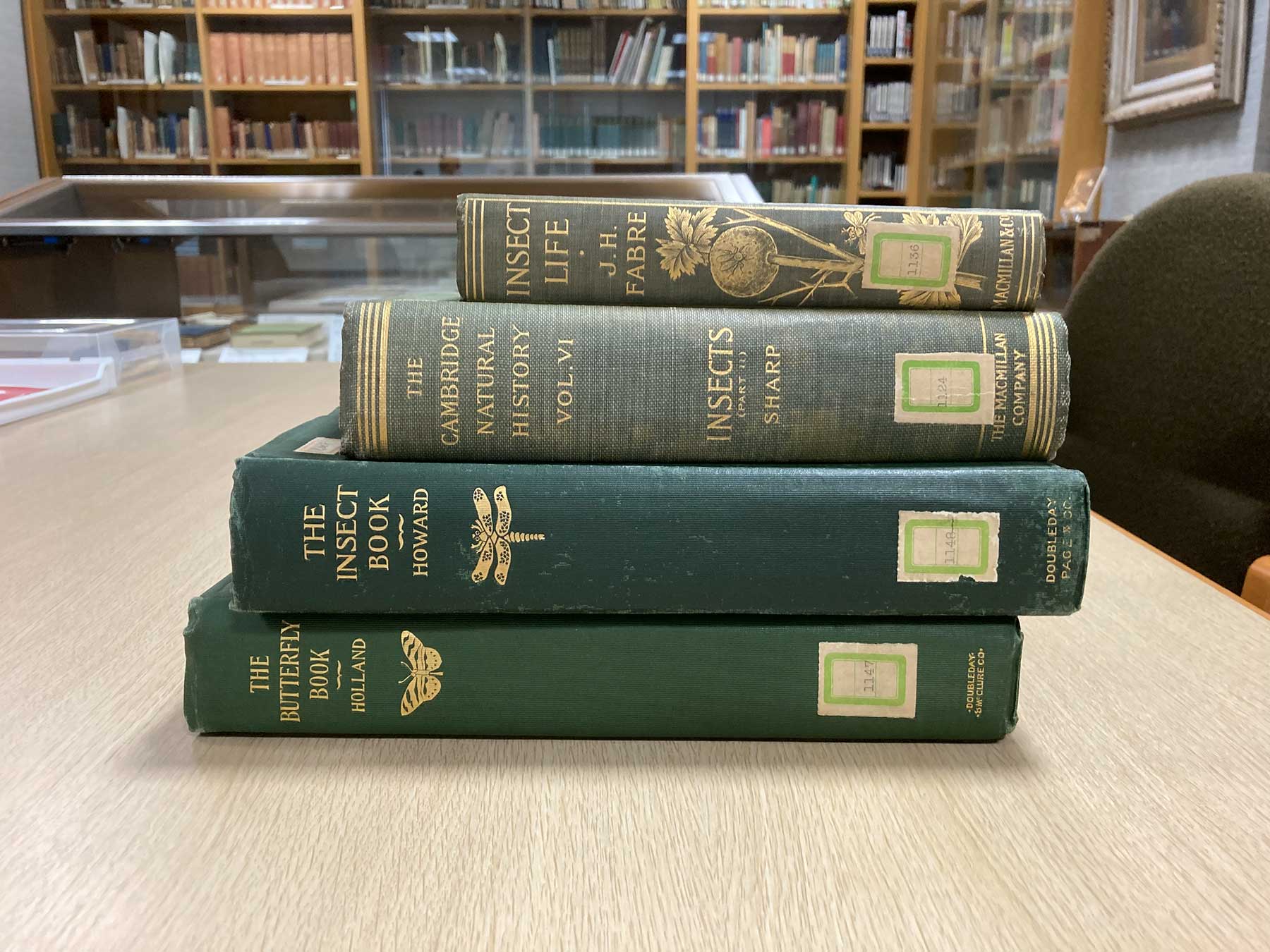 虫の詩 かそけきものの声音を愛す The Poetry of Insects—Loving the