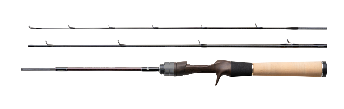 Fishman/フィッシュマン】Beams blancsierra 4.8UL（ビームス ブラン