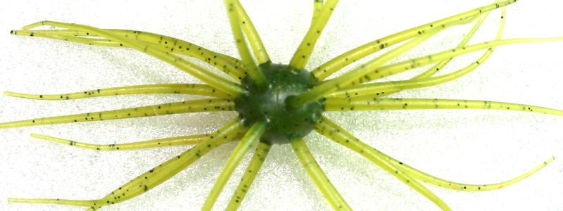 コイケ HIDEUP ハイドアップ